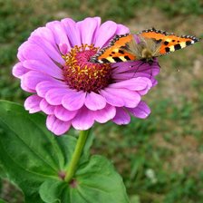 Схема вышивки «№410013»