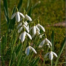 Схема вышивки «№410050»