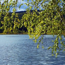 Схема вышивки «№410086»