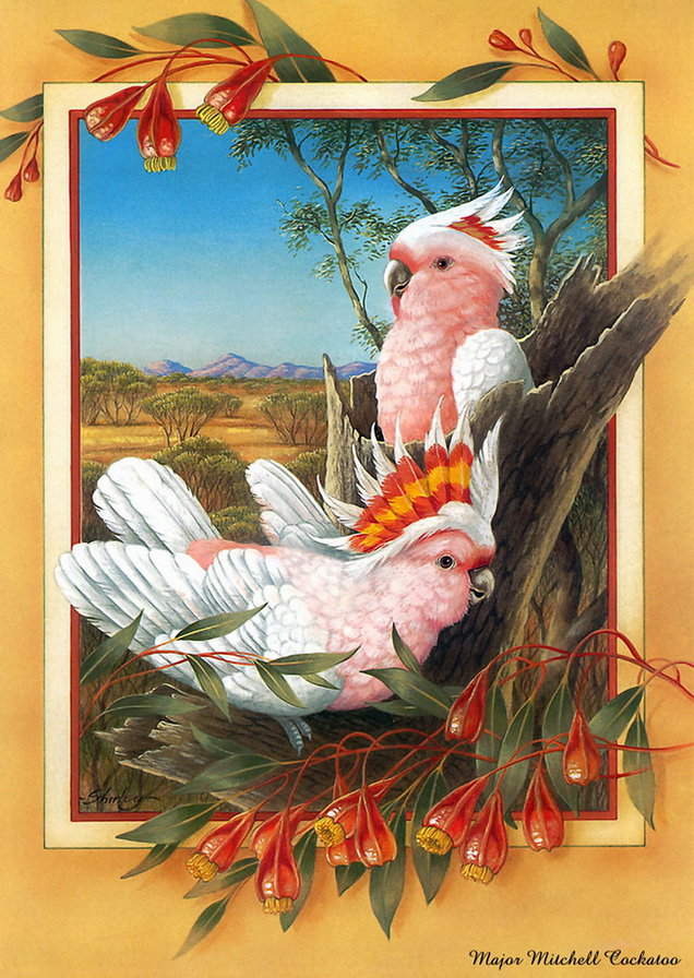 Серия "Птицы" - птицы, цветы, попугаи - оригинал