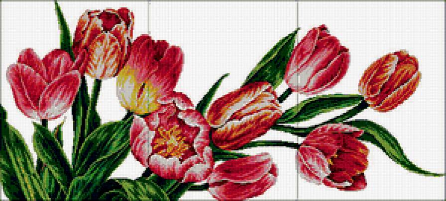 Тюльпаны - триптих, тюльпаны, цветы - предпросмотр