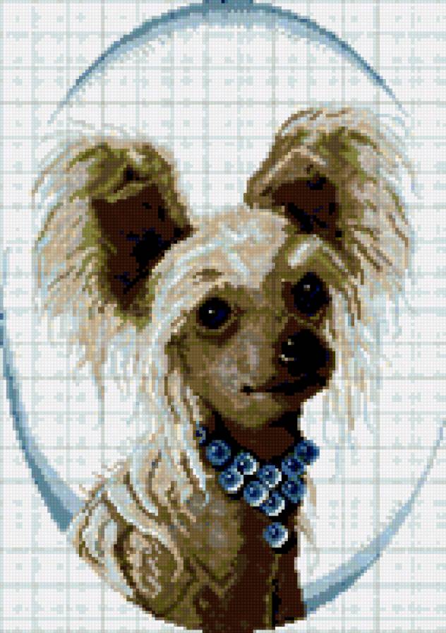 Chinese Crested - предпросмотр