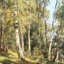 Схема вышивки «№410277»