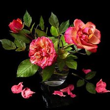 Схема вышивки «розы»