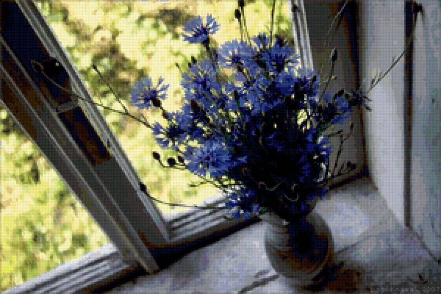 Васильки - предпросмотр