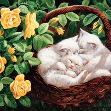 Схема вышивки «серия"кошки"»