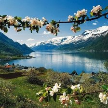 Схема вышивки «природа»