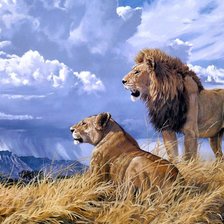 Схема вышивки «№410964»