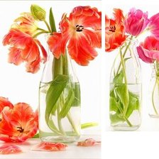 Схема вышивки «№411097»