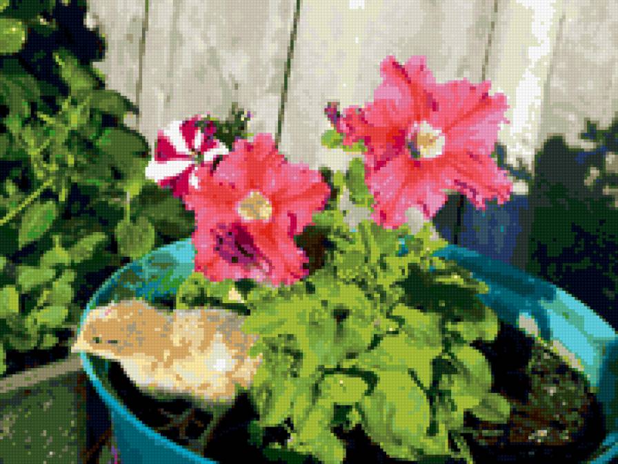 цыпленок под цветком - птицы, цветы - предпросмотр