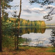 Схема вышивки «у озера»