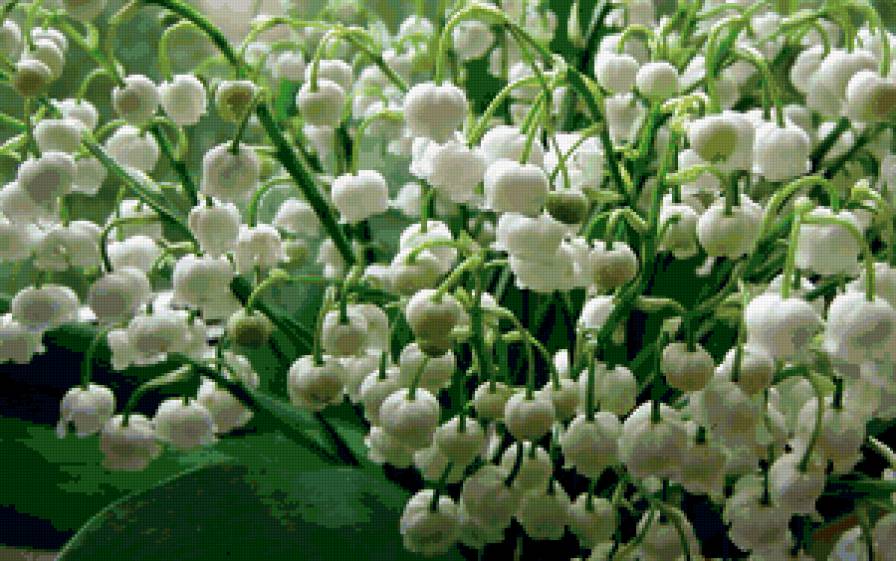 из цикла Ландыши - предпросмотр