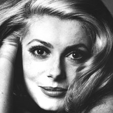 Схема вышивки «Катрин Денев»