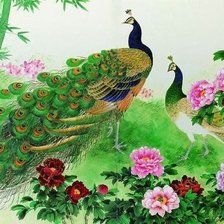 Схема вышивки «павлины»