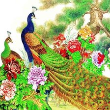 Схема вышивки «павлины»