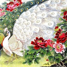 Схема вышивки «павлины»