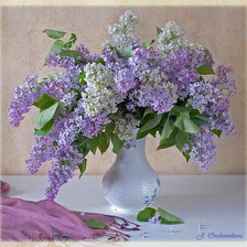 Схема вышивки «Цветы и натюрморты от Юлии Овчинниковой»