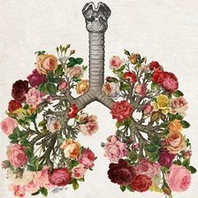 Схема вышивки «1»