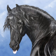 Схема вышивки «Серия "Кони"»