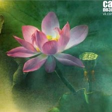 Схема вышивки «лотос»