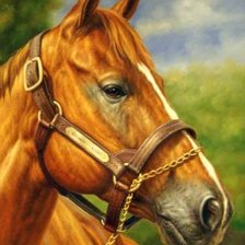 Схема вышивки «Животные, лошади»