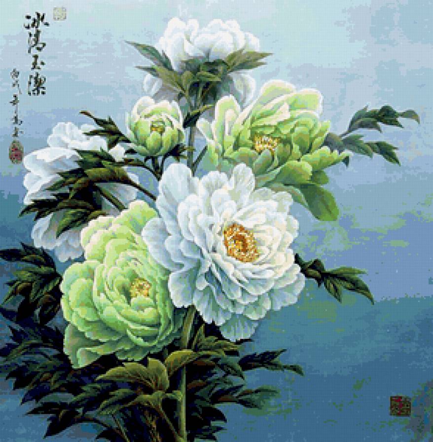 китайский пион - предпросмотр