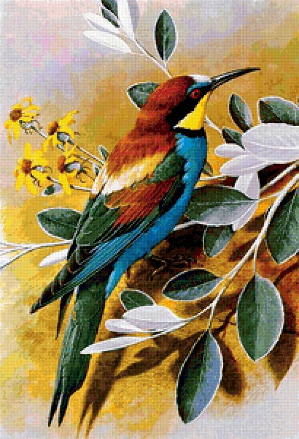 Серия "Пернатые" - птичка, птицы, пейзажи, природа, цветы - предпросмотр