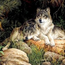 Схема вышивки «волки»