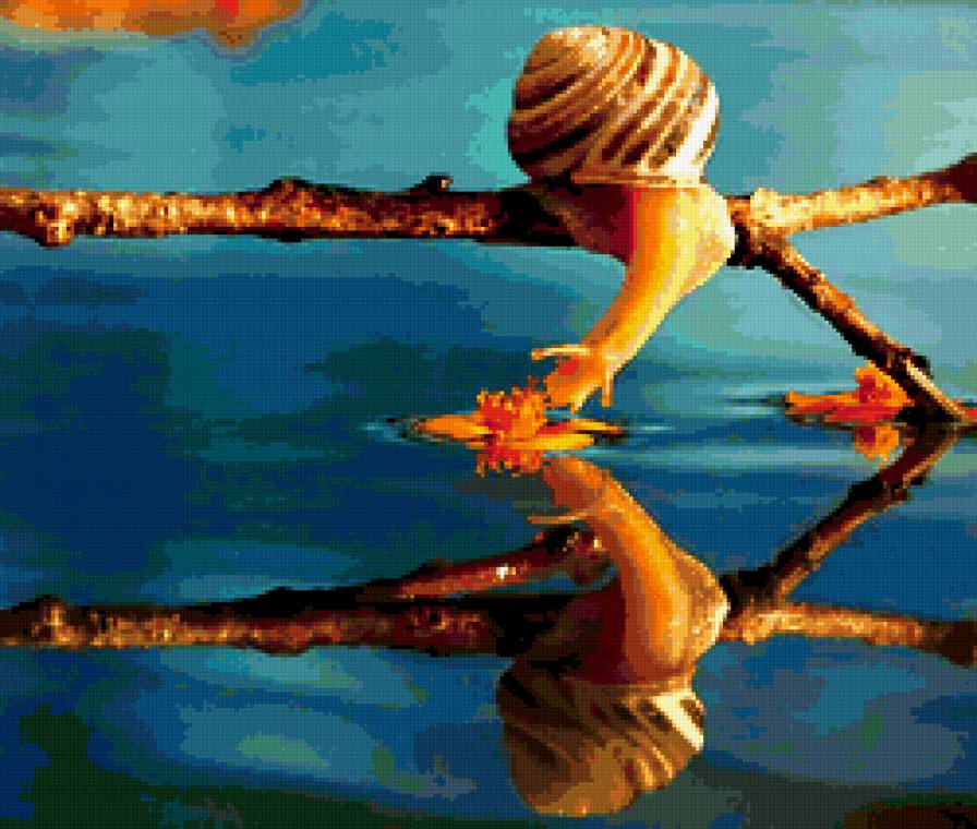 улитка - улитка, вода, отражение - предпросмотр