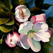 Схема вышивки «цветы»