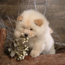 Схема вышивки «песик»