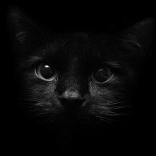 Схема вышивки «кошка»