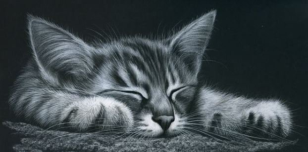 №412184 - оригинал