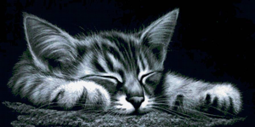 №412184 - предпросмотр