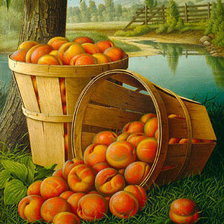 Схема вышивки «Персики»