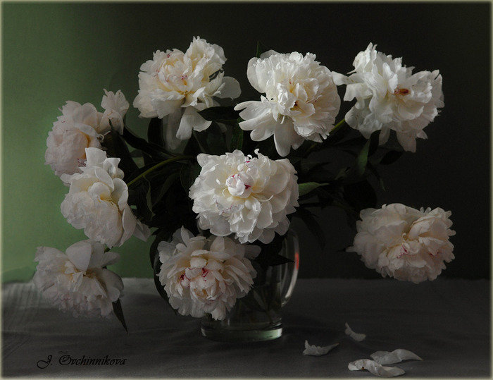 Цветы и натюрморты от Юлии Овчинниковой - натюрморт, живопись, пионы, букет, цветы - оригинал