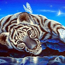 Схема вышивки «Тигрёнок с бабочками»