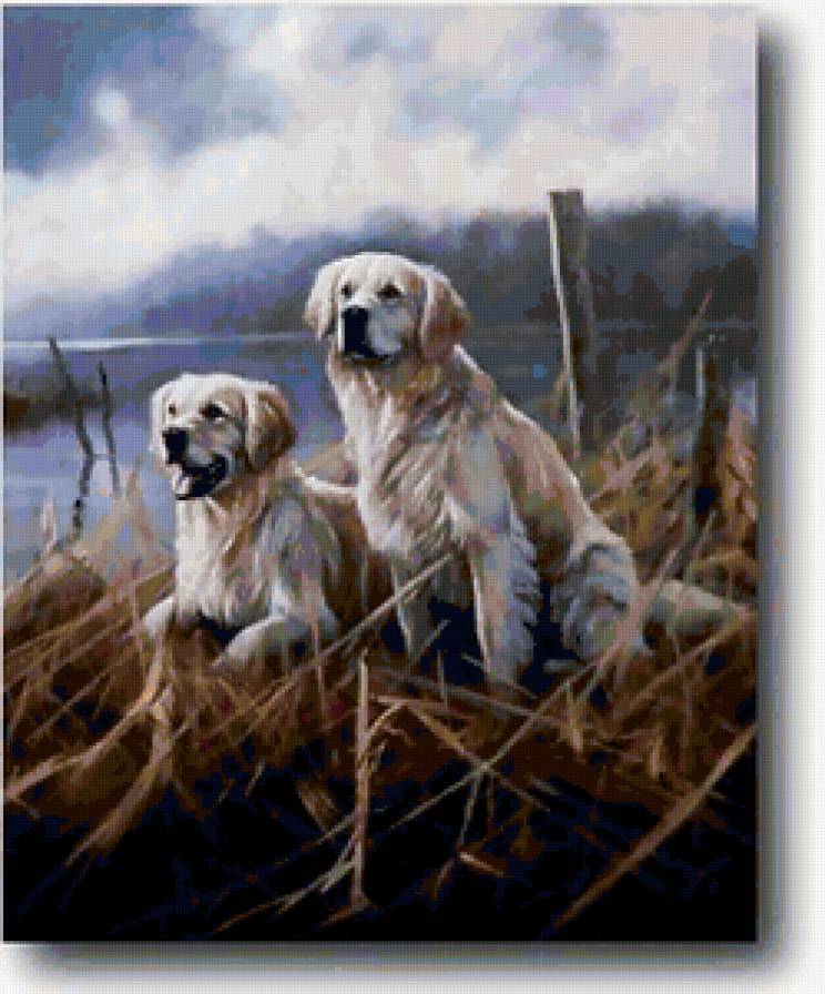 на охоте - собаки - предпросмотр