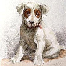 Схема вышивки «щенок»