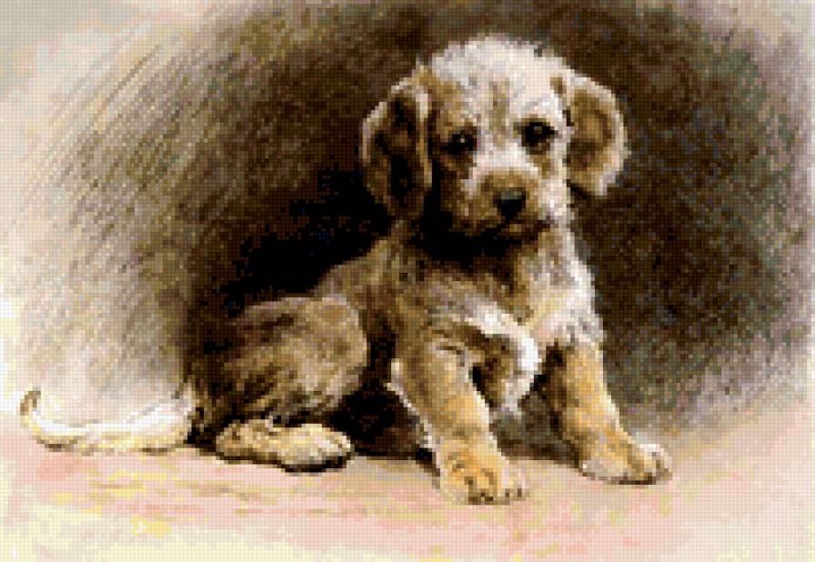 щеночек - собаки - предпросмотр