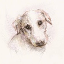 Схема вышивки «жужа»