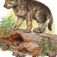 Схема вышивки «волченок»