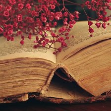 Схема вышивки «Книга»