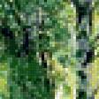 Предпросмотр схемы вышивки «Шишкин И.И. Лиственный лес» (№412741)