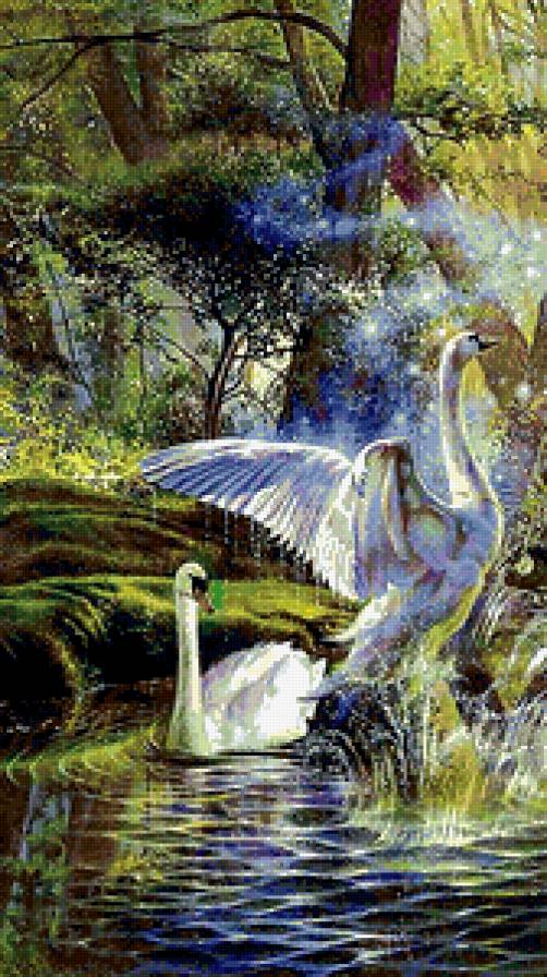 Лебеди в лесу - птицы, пейзаж, лебеди, озеро, лес - предпросмотр