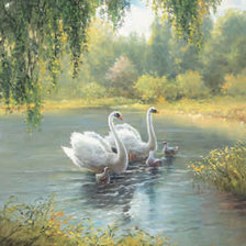 Схема вышивки «Лебединое семейство»