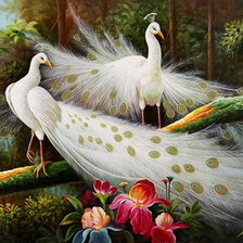 Схема вышивки «Белые павлины»