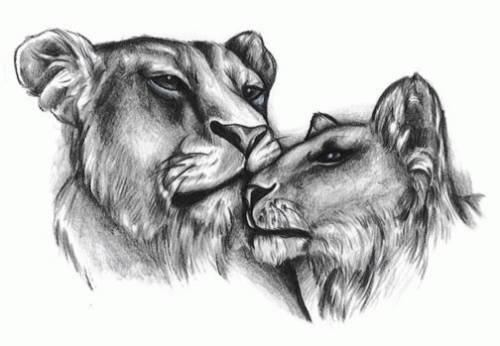 львы - черно белое, львы, рисунок - оригинал