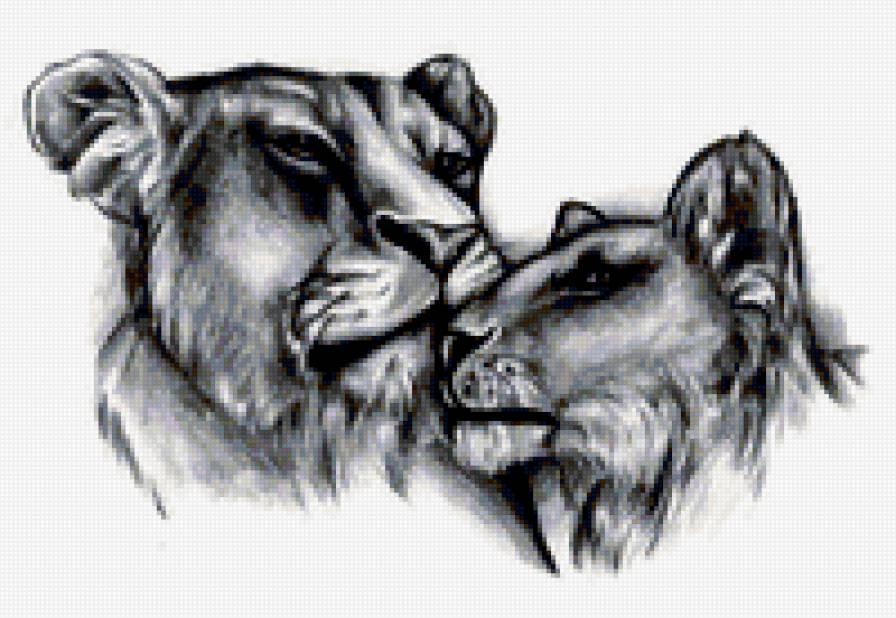 львы - черно белое, львы, рисунок - предпросмотр