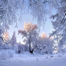 Схема вышивки «Зимний пейзаж»